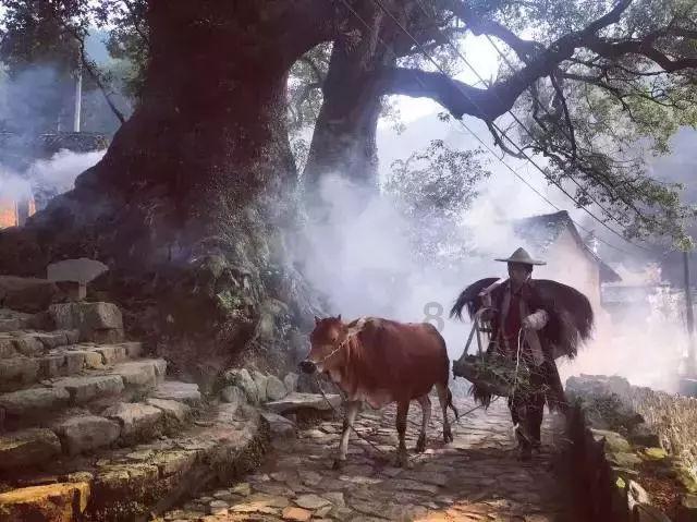 解惑关于岳飞的历史故事有哪些400字,线上求解疑问,轻松问答平台