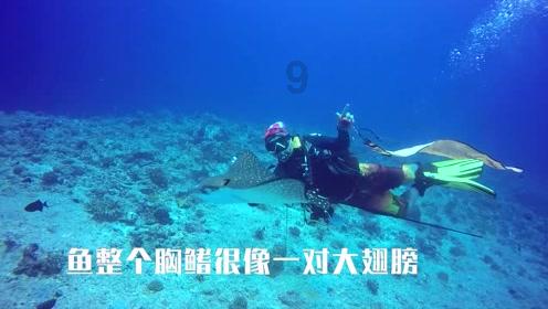 湖人141-132力克公牛 球员评分：7人满分，2人崩盘