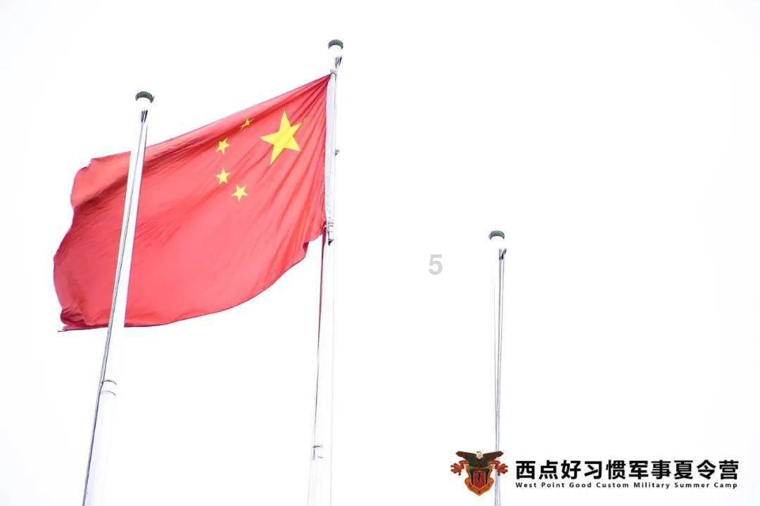 逗小猴开心系列196