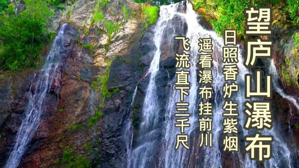 狗狗吃了老鼠的尾巴怎么办？游戏画面