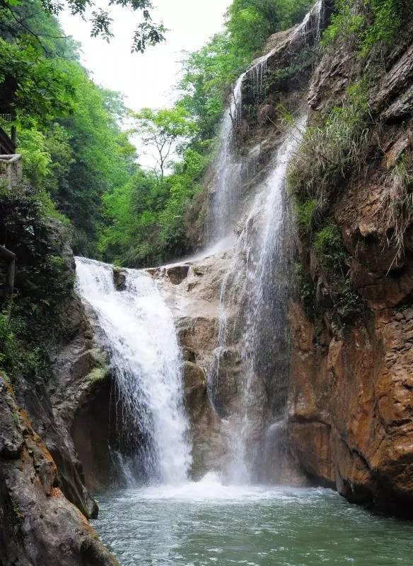 逃出猫头鹰岛