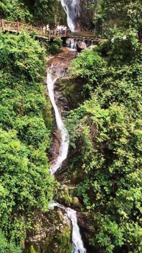 食为略