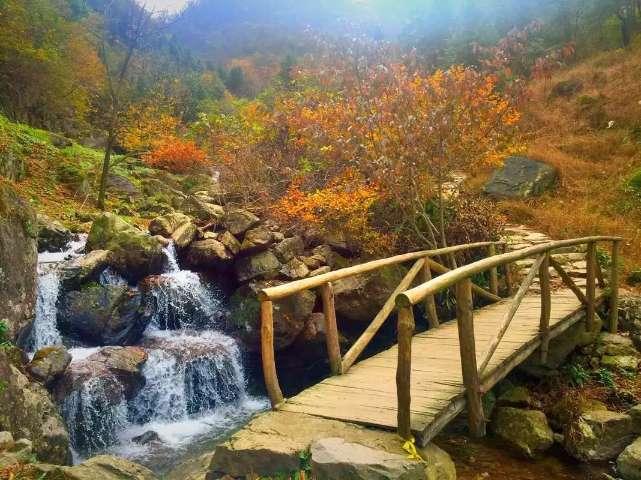 寻味仁和 | 老表，来碗福田油茶！